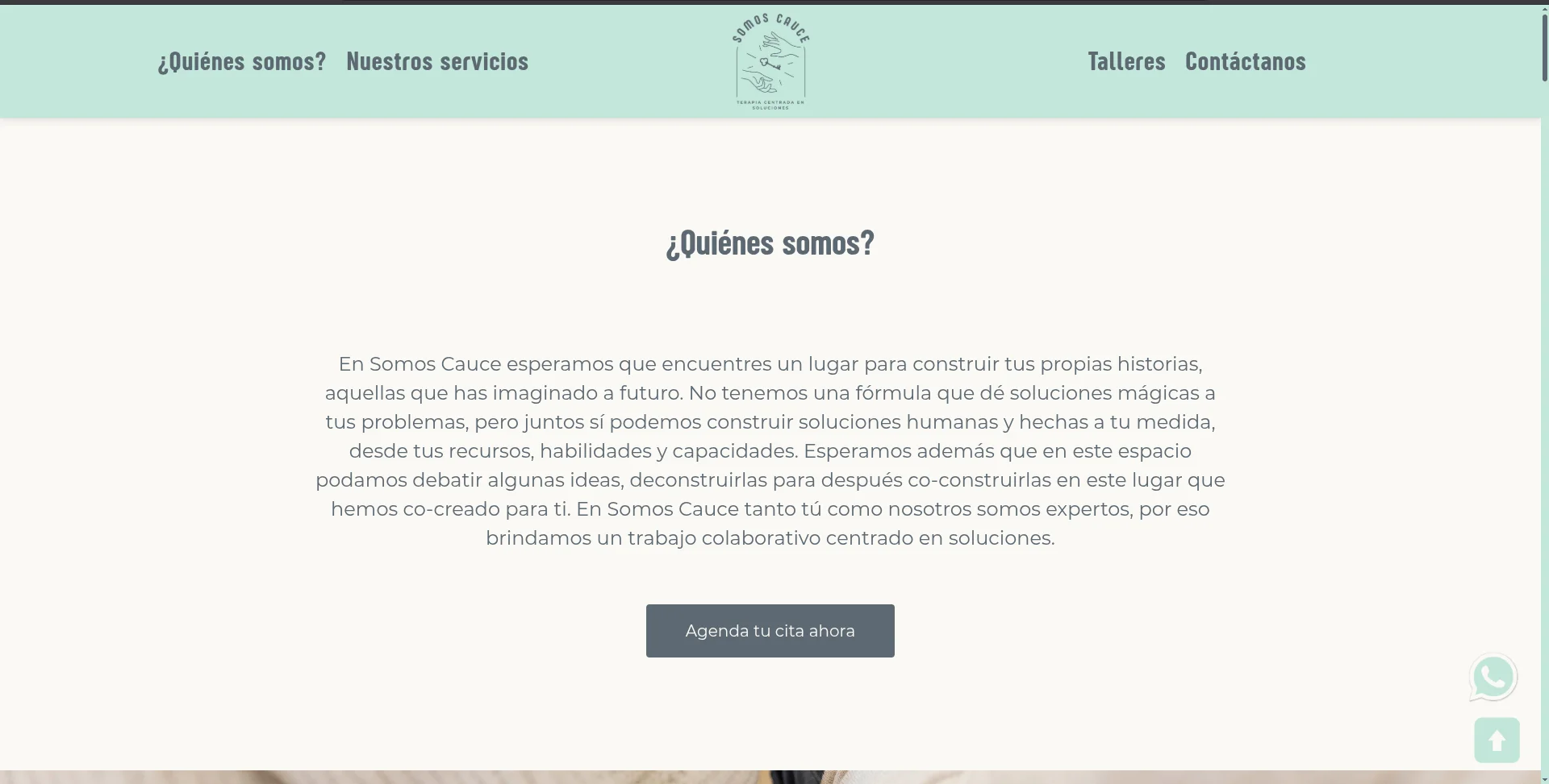 Somos Cauce